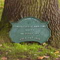 A 100-year old oak tree, and plaque for a mayor, Exam Day Dereliction, Ipswich, Suffolk - 13th November 2019