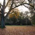 A tree and a carpet of leaves, The Tiles of Ickworth House, Horringer, Suffolk - 30th November 2019