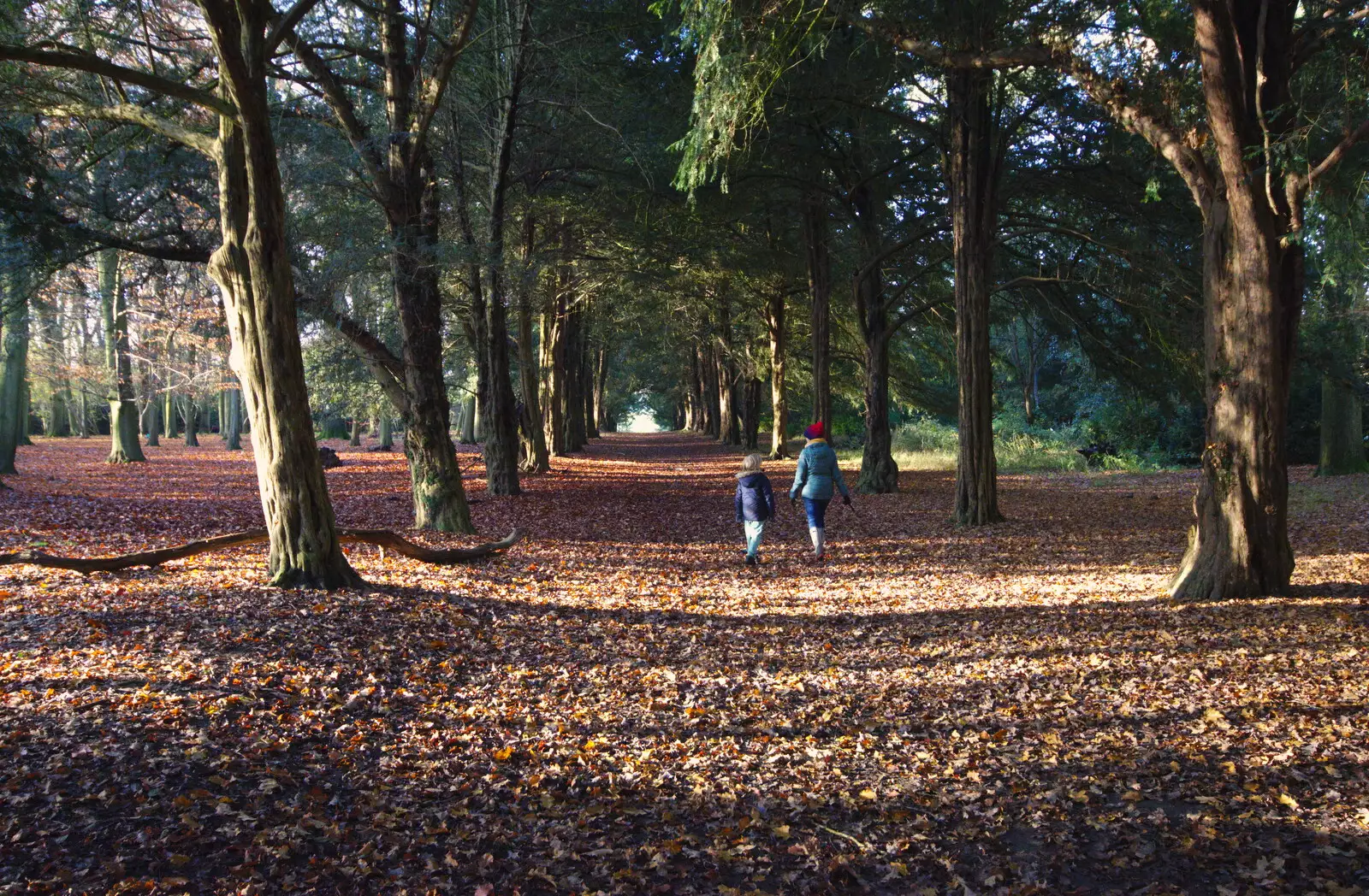 Harry and Isobel wander off, from The Tiles of Ickworth House, Horringer, Suffolk - 30th November 2019