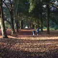 Harry and Isobel wander off, The Tiles of Ickworth House, Horringer, Suffolk - 30th November 2019