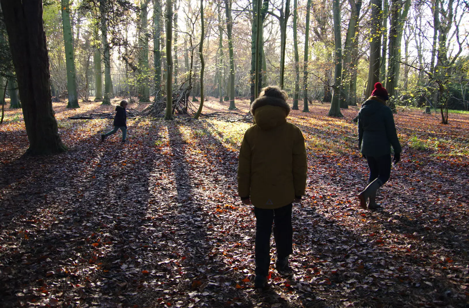 We roam the woods, from The Tiles of Ickworth House, Horringer, Suffolk - 30th November 2019