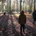 We roam the woods, The Tiles of Ickworth House, Horringer, Suffolk - 30th November 2019