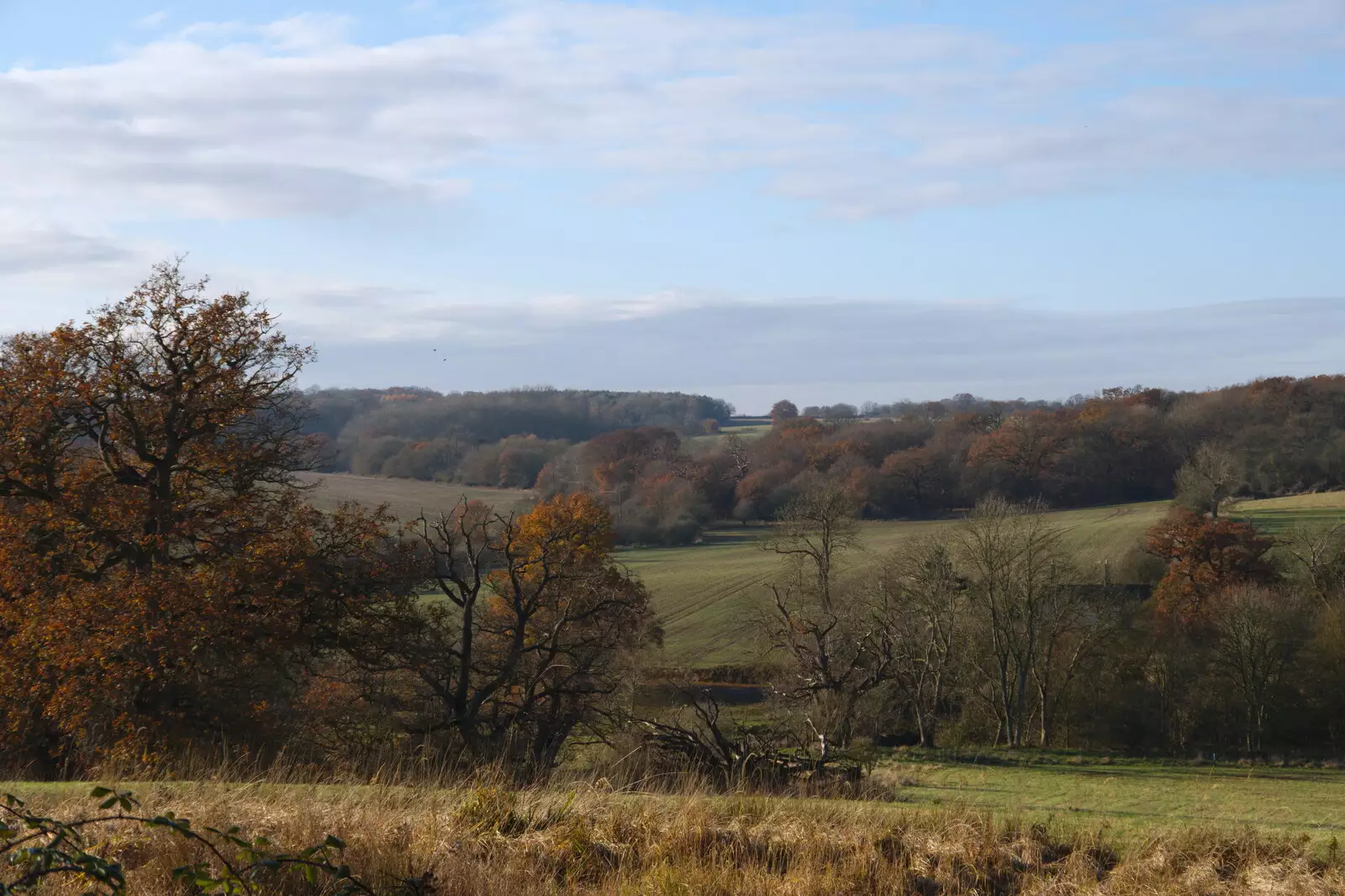 A view of the Suffolk countryside, from The Tiles of Ickworth House, Horringer, Suffolk - 30th November 2019