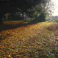 A carpet of autumn, picked out by the low sun, The Tiles of Ickworth House, Horringer, Suffolk - 30th November 2019