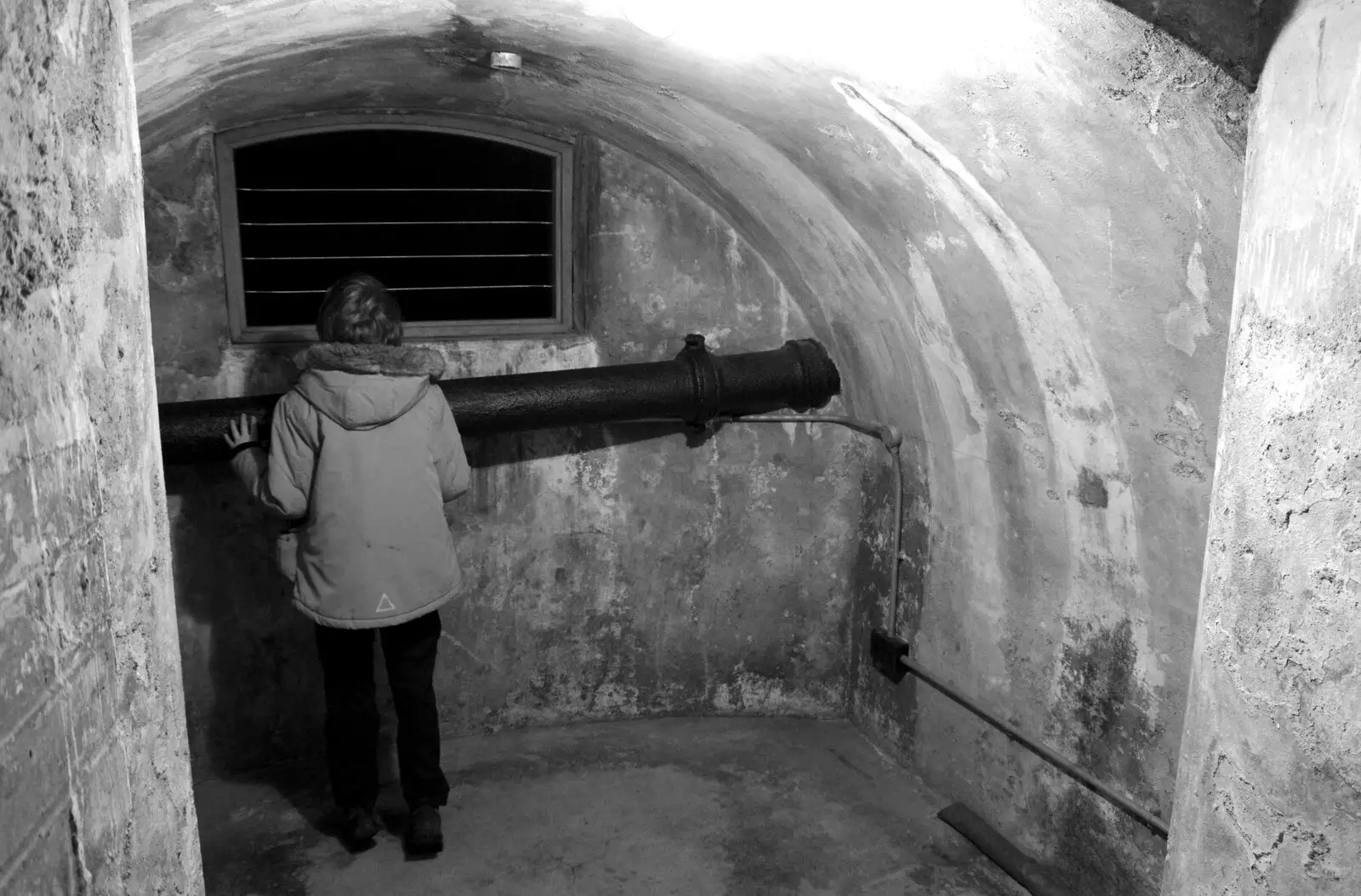 Fred peers into an underground water tank, from The Tiles of Ickworth House, Horringer, Suffolk - 30th November 2019