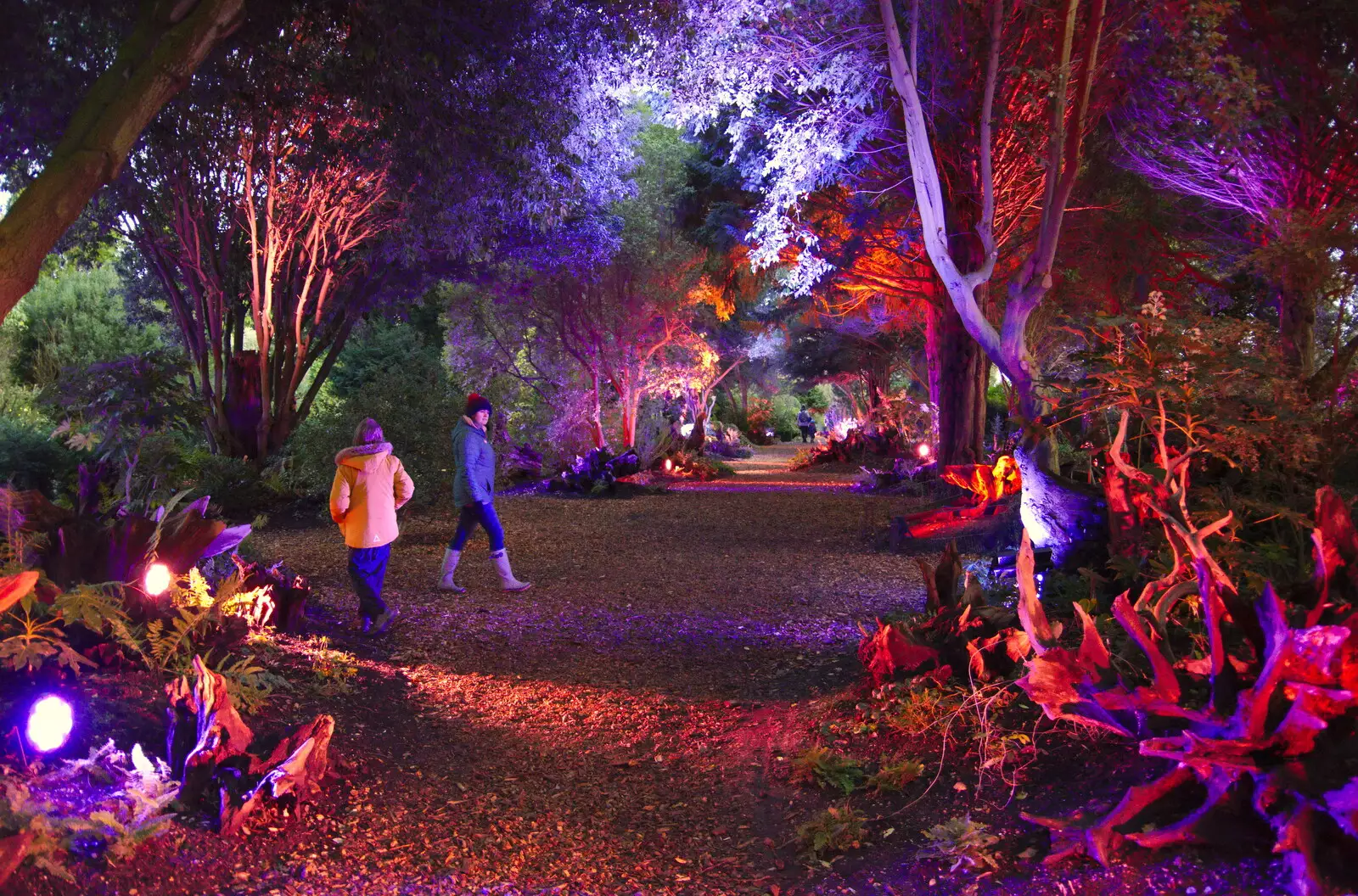 Isobel, Harry and Fred in the illuminated stumpery, from The Tiles of Ickworth House, Horringer, Suffolk - 30th November 2019