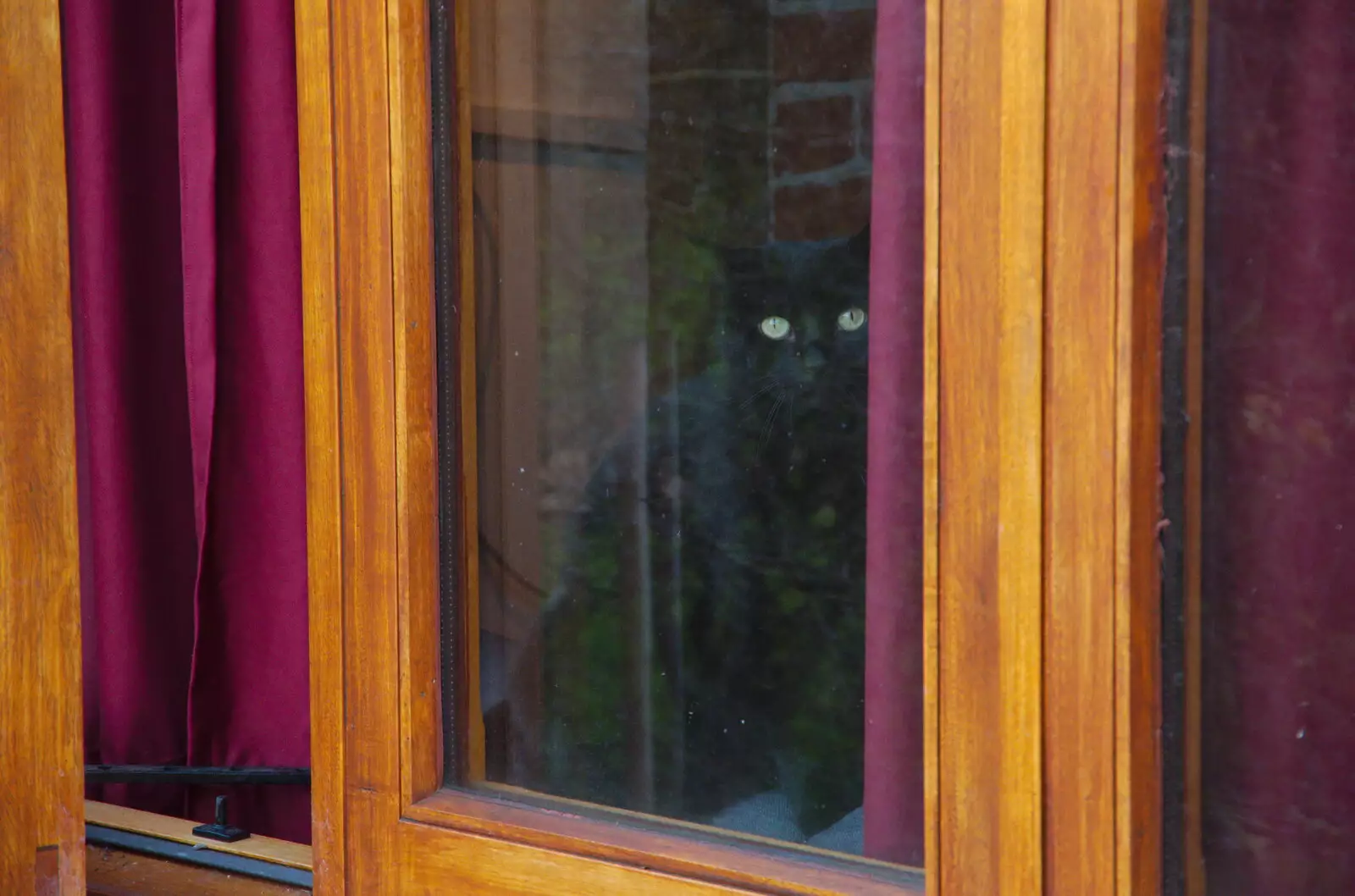 Millie stares out of a window, from Pizza Express and a School Quiz, Bury St. Edmunds and Eye, Suffolk - 30th November 2019