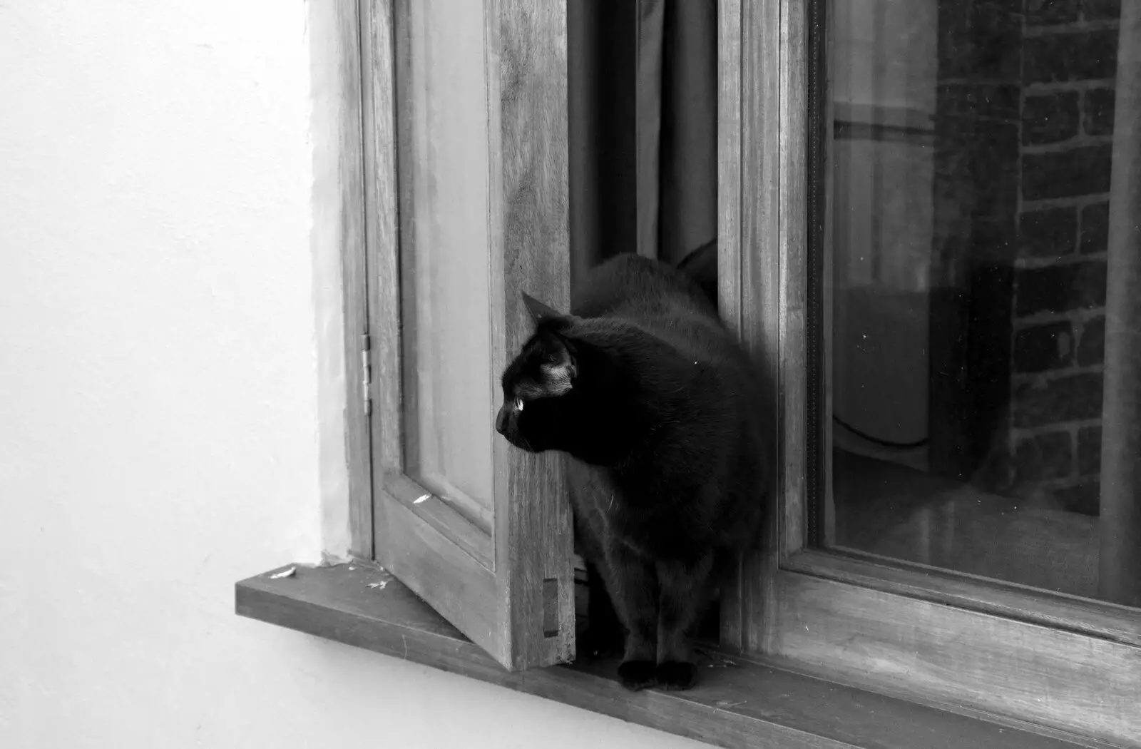 Invisible Cat in black and white, from Pizza Express and a School Quiz, Bury St. Edmunds and Eye, Suffolk - 30th November 2019