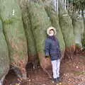 Harry leans on a tree, Norwich in Ninety, and Christmas Trees, Norwich and Diss - 8th December 2019