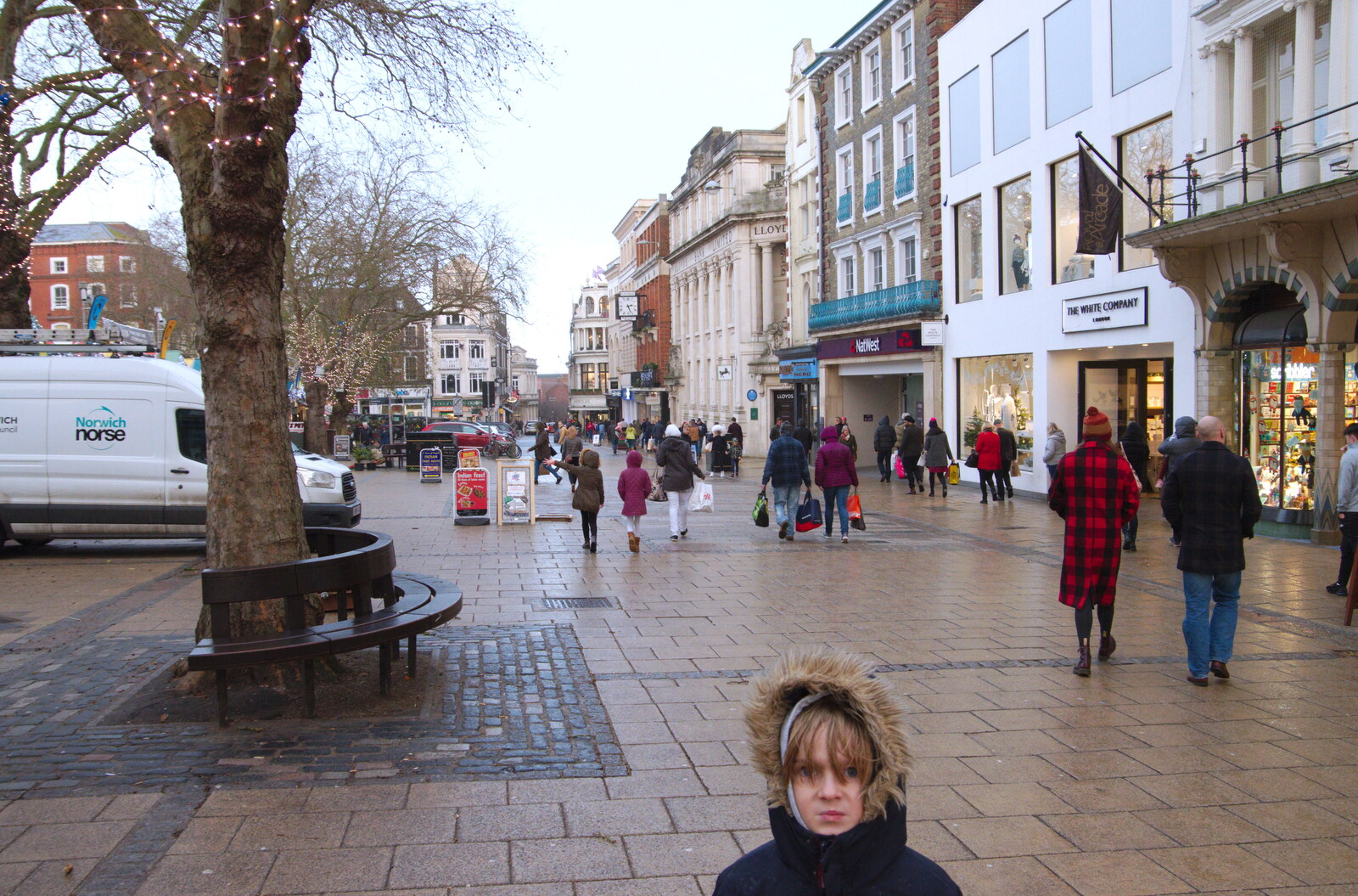 Harry's head on Gentleman's Walk from Norwich in Ninety, and Christmas Trees, Norwich and Diss - 8th December 2019