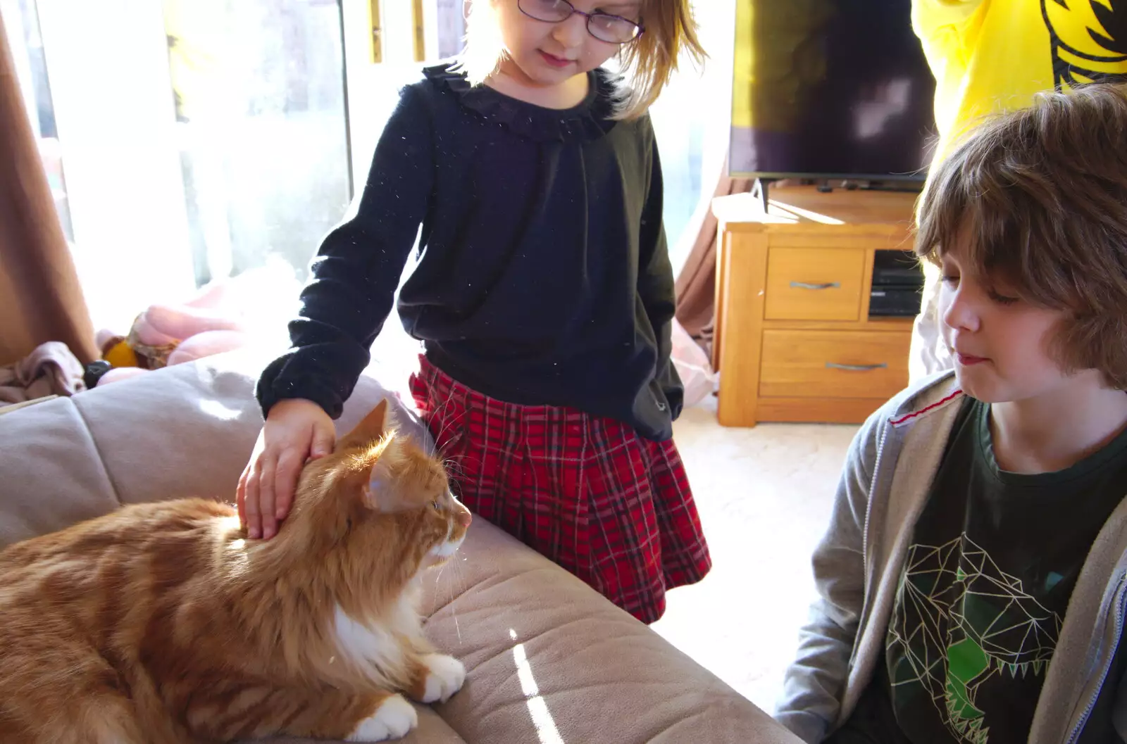 Isabella and Fred hang out with Flash the cat, from Christmas Day, Brome, Suffolk - 25th December 2019