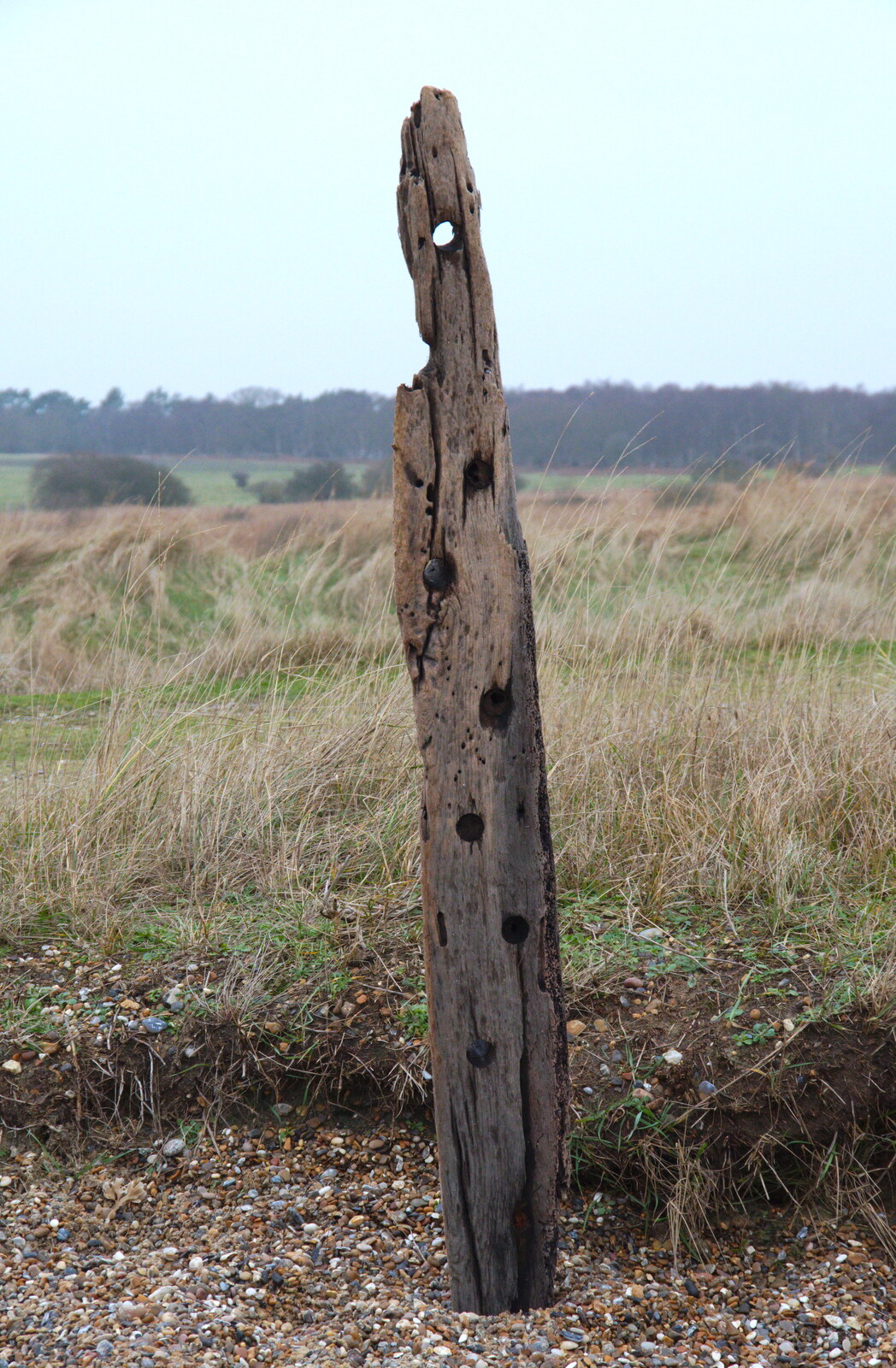 A weather-beaten timber sticks out of the beach from A Trip to the Beach, Dunwich Heath, Suffolk - 27th December 2019