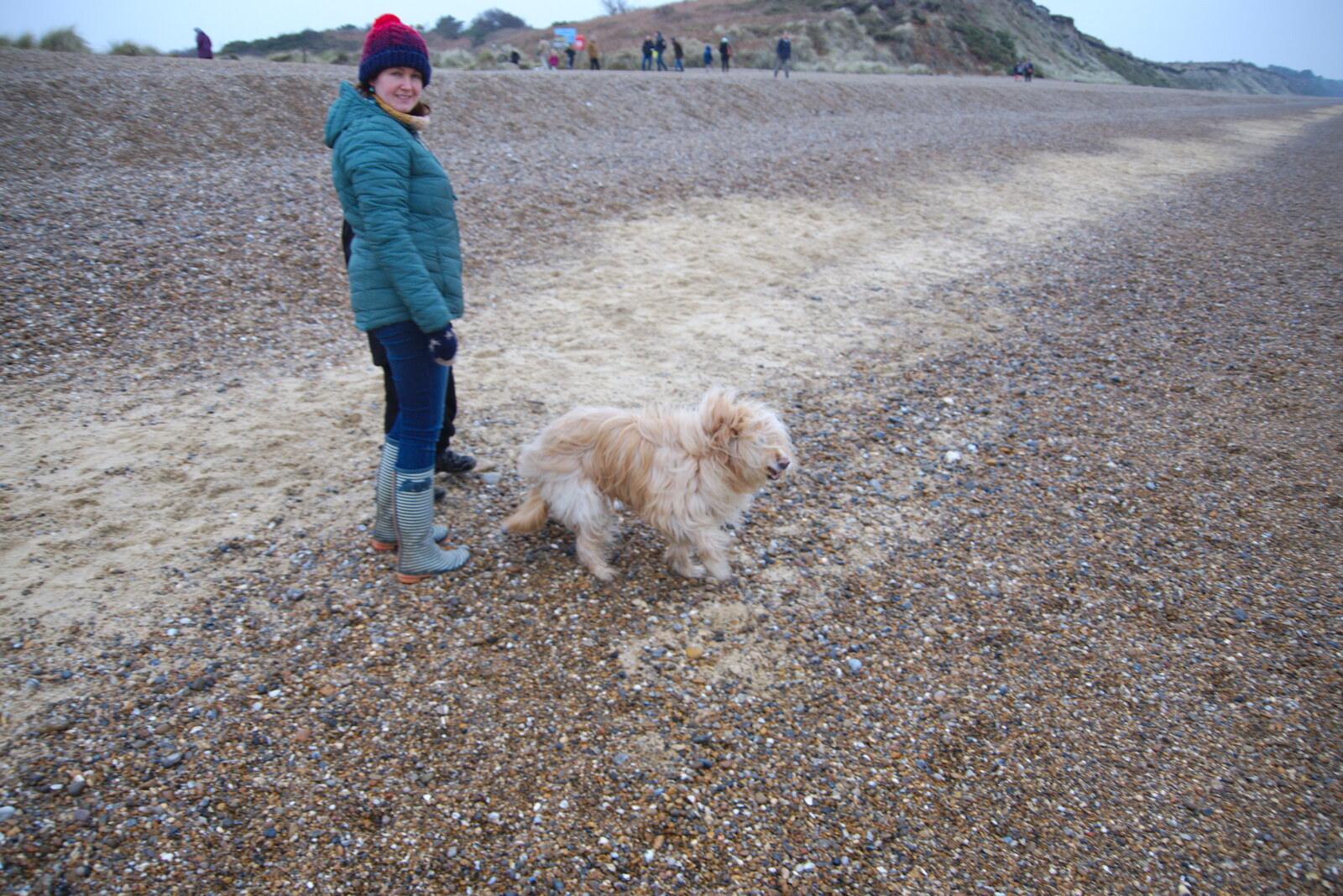 Isobel meets a hairy dog from A Trip to the Beach, Dunwich Heath, Suffolk - 27th December 2019