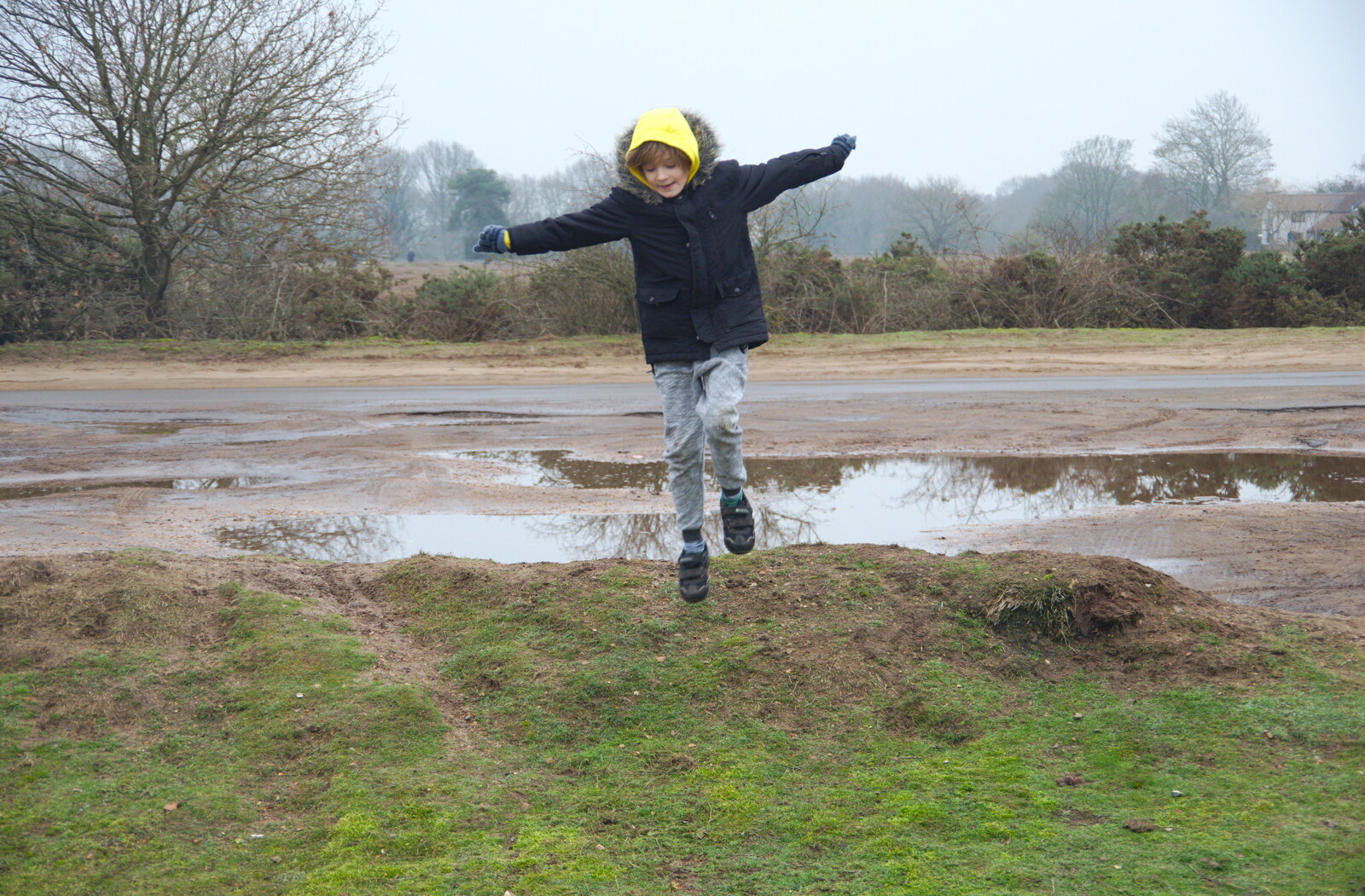 Harry leaps about from New Year's Day on the Ling, Wortham, Suffolk - 1st January 2020