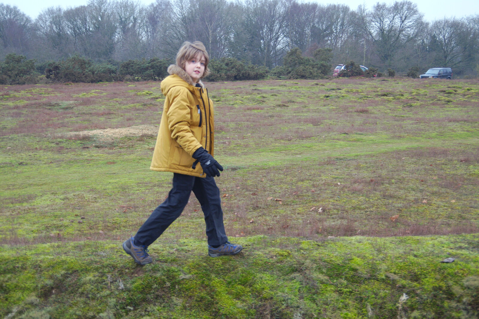 Fred strolls around from New Year's Day on the Ling, Wortham, Suffolk - 1st January 2020