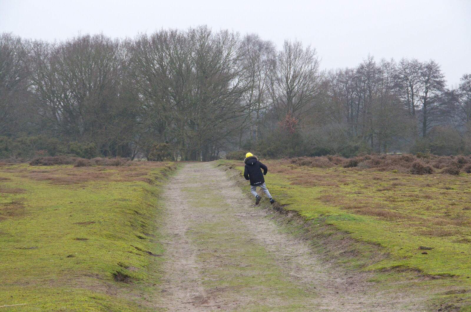 More running about from New Year's Day on the Ling, Wortham, Suffolk - 1st January 2020