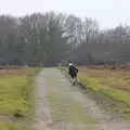 More running about, New Year's Day on the Ling, Wortham, Suffolk - 1st January 2020