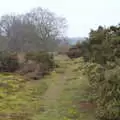 A path disappears into the Ling, New Year's Day on the Ling, Wortham, Suffolk - 1st January 2020