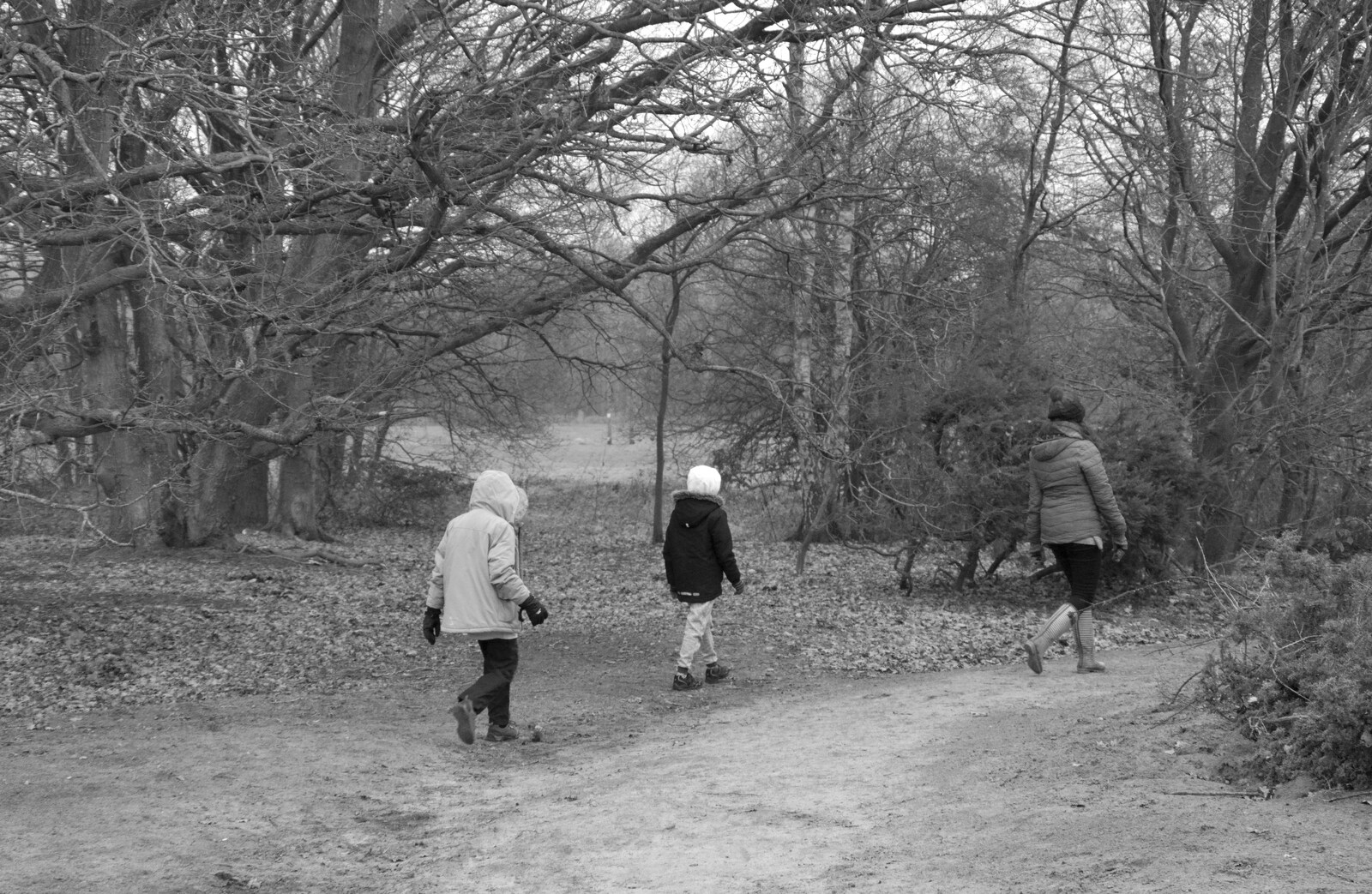 Roaming in black and white from New Year's Day on the Ling, Wortham, Suffolk - 1st January 2020
