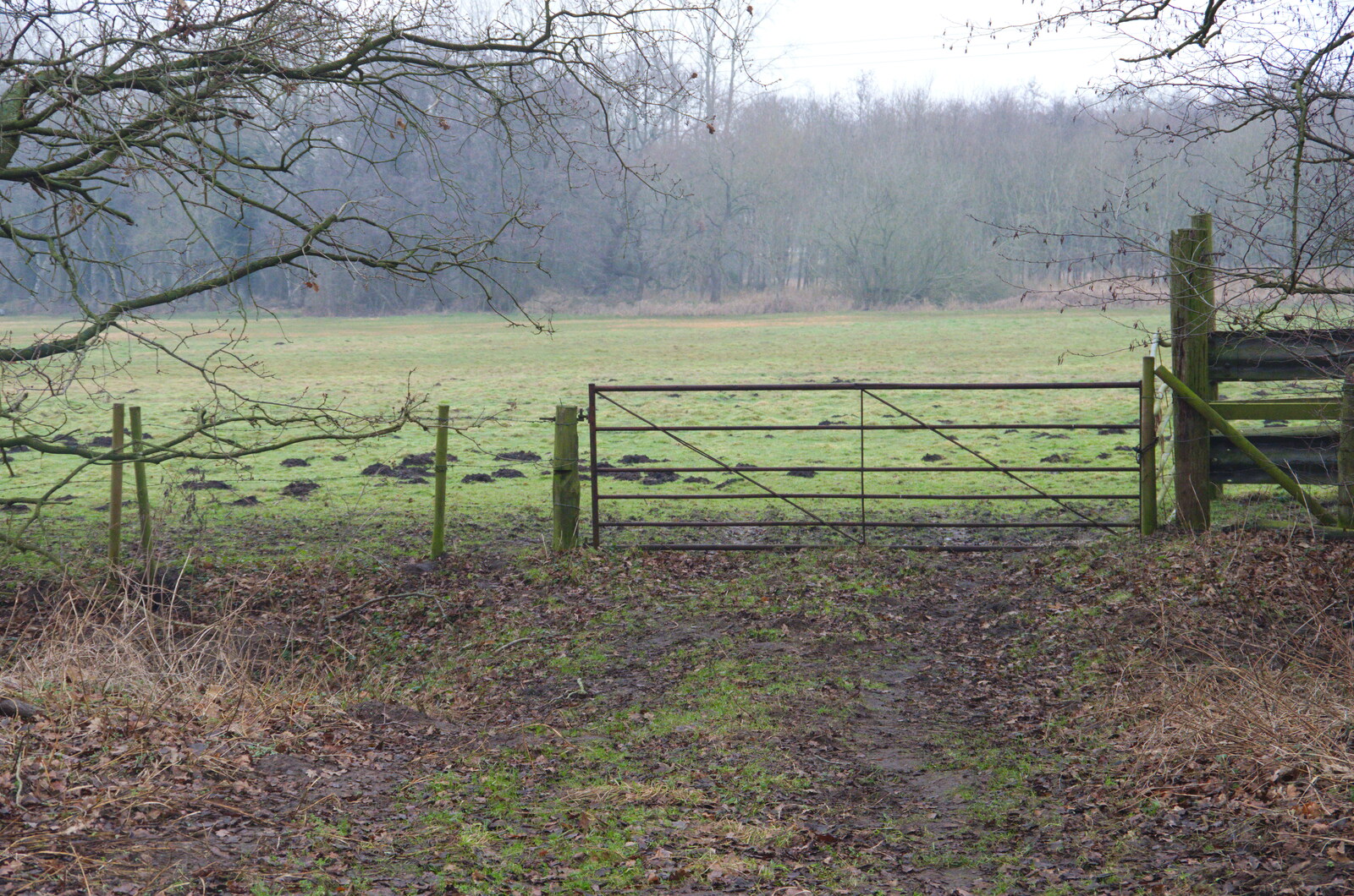 A six-bar gate to a misty field from New Year's Day on the Ling, Wortham, Suffolk - 1st January 2020