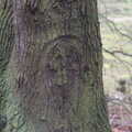 A skull has been carved into the tree bark, New Year's Day on the Ling, Wortham, Suffolk - 1st January 2020