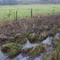 Branches merge into sedges in a tangle of nature, New Year's Day on the Ling, Wortham, Suffolk - 1st January 2020