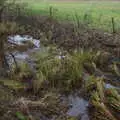 The overgrown Waveney - the Norfolk/Suffolk border, New Year's Day on the Ling, Wortham, Suffolk - 1st January 2020