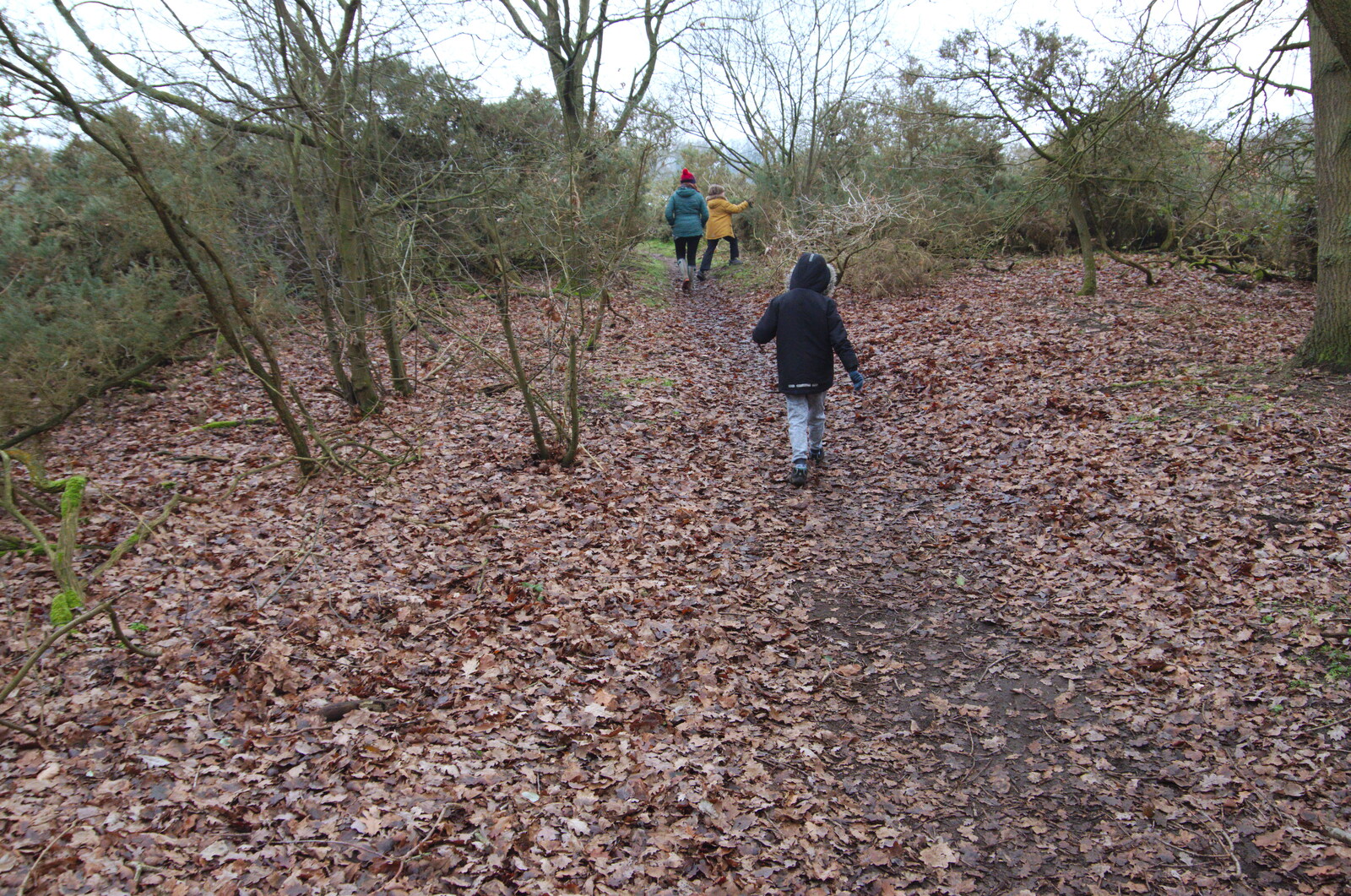 We stump off out of the woods from New Year's Day on the Ling, Wortham, Suffolk - 1st January 2020