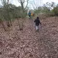 We stump off out of the woods, New Year's Day on the Ling, Wortham, Suffolk - 1st January 2020