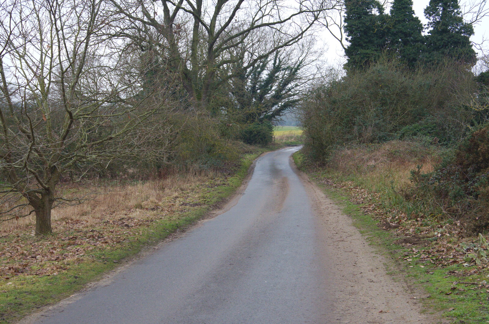 The road to Redgrave from New Year's Day on the Ling, Wortham, Suffolk - 1st January 2020