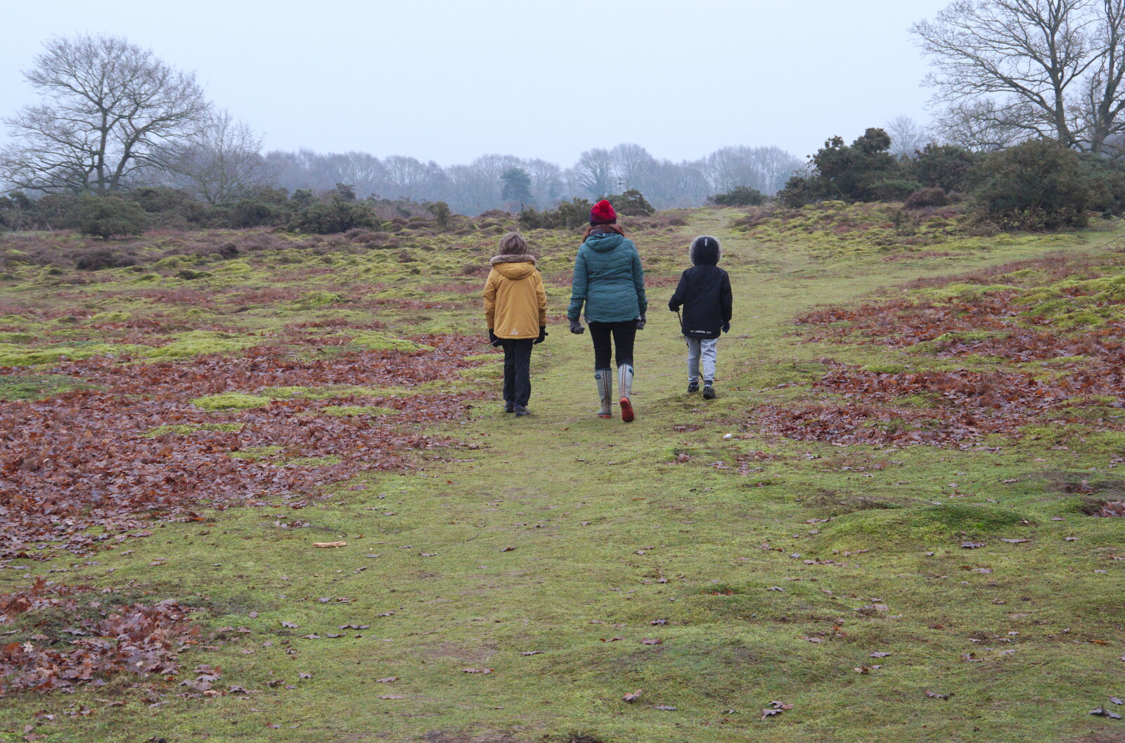 Wandering off over the Ling from New Year's Day on the Ling, Wortham, Suffolk - 1st January 2020