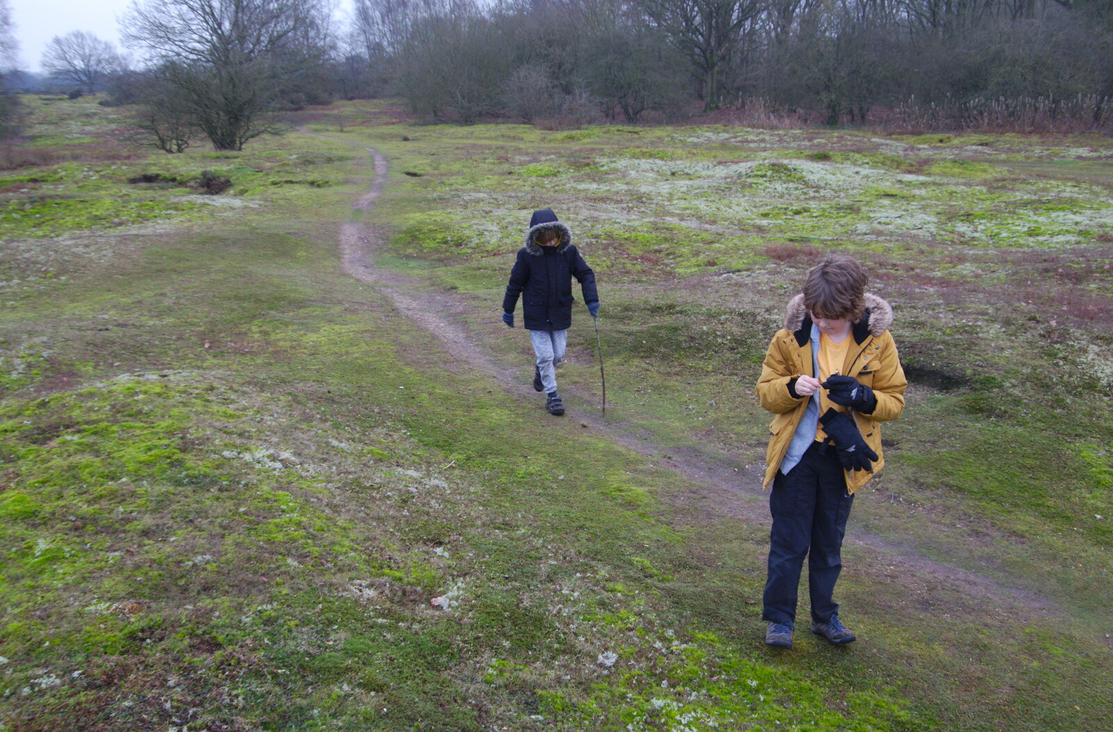 Harry and Fred from New Year's Day on the Ling, Wortham, Suffolk - 1st January 2020