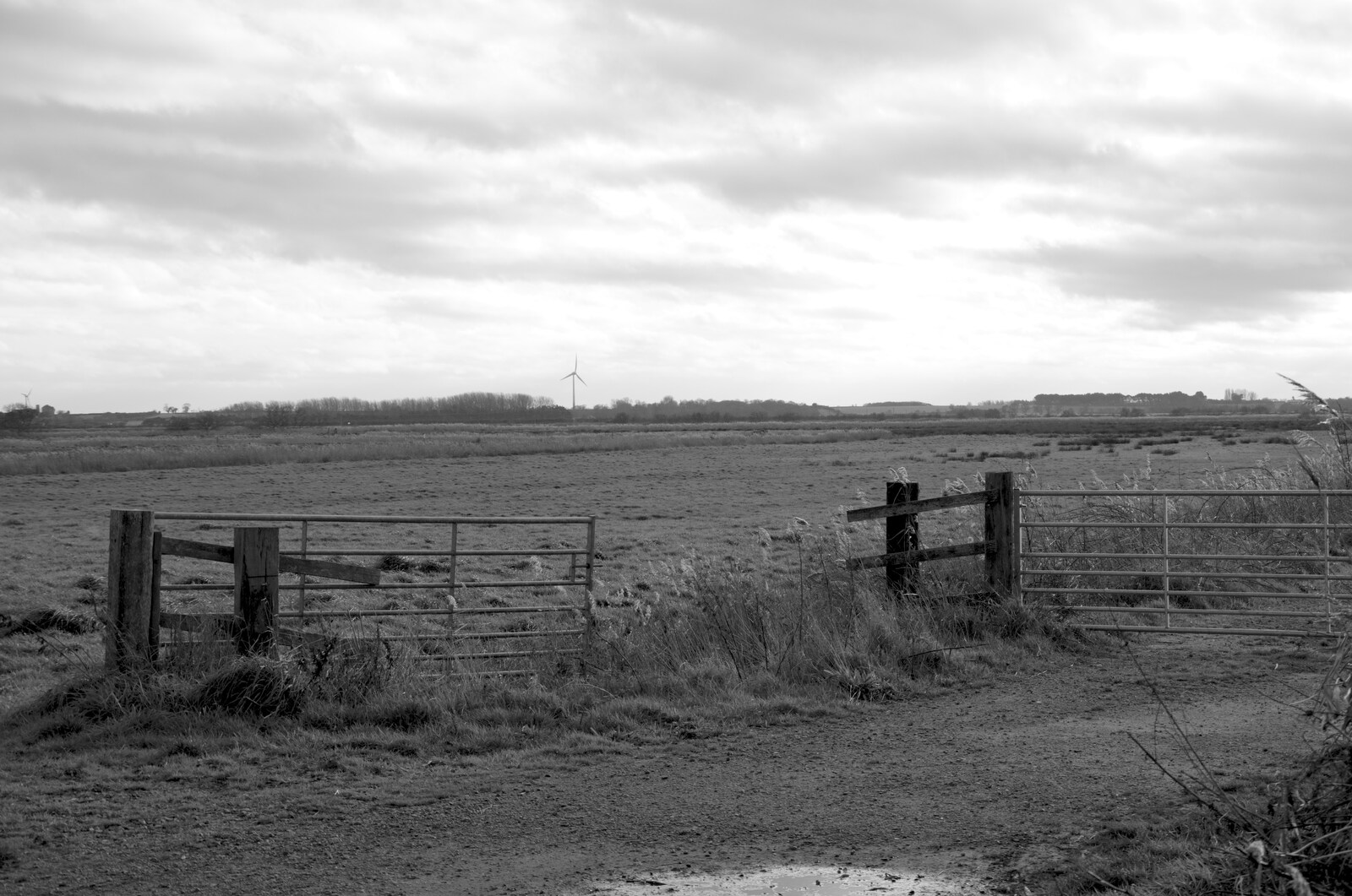 The wilds of north-east Norfolk from To See the Seals, Horsey Gap, Norfolk - 10th January 2020
