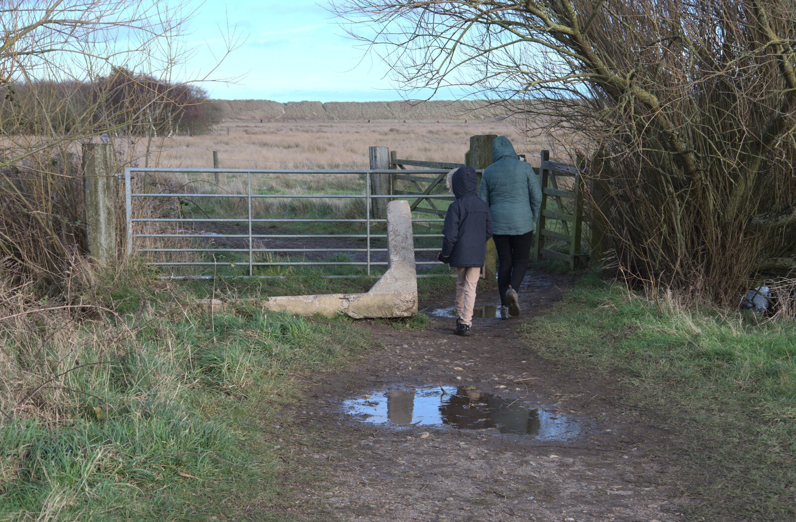 There's another gate to navigate from To See the Seals, Horsey Gap, Norfolk - 10th January 2020
