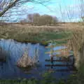 Flooding in the hinterland, To See the Seals, Horsey Gap, Norfolk - 10th January 2020