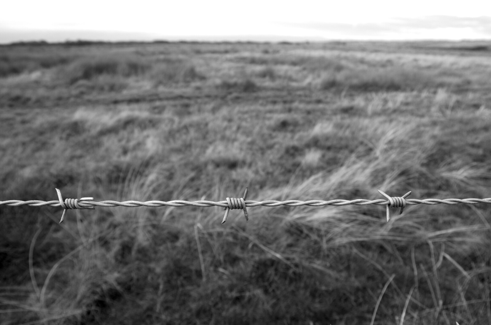 Stark barbed wire from To See the Seals, Horsey Gap, Norfolk - 10th January 2020