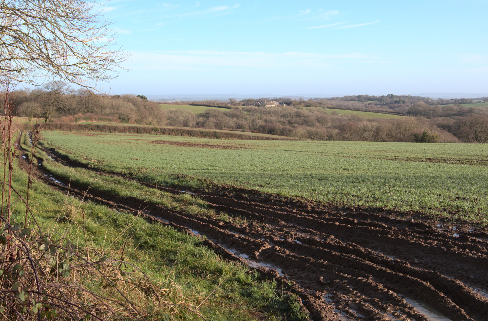 Another Devon field from A Short Trip to Spreyton, Devon - 18th January 2020