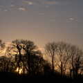 Sunset over the side field, A Short Trip to Spreyton, Devon - 18th January 2020