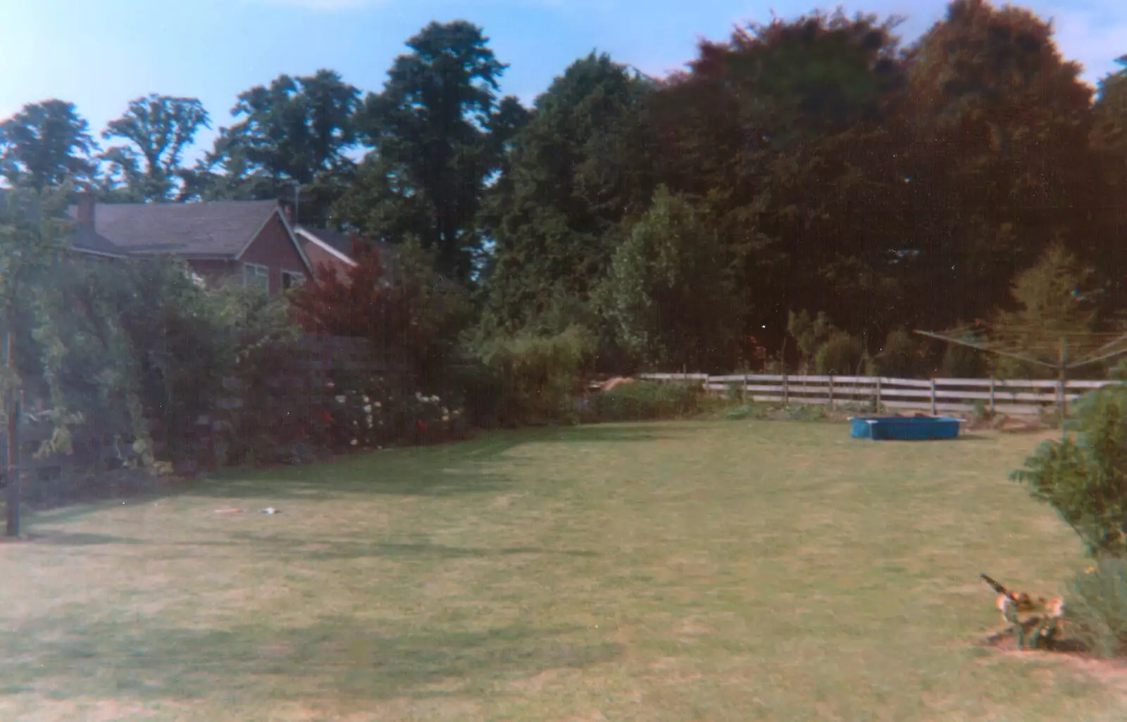 The back garden, from Family History: Birtle's Close, Sandbach, Cheshire - 24th January 2020