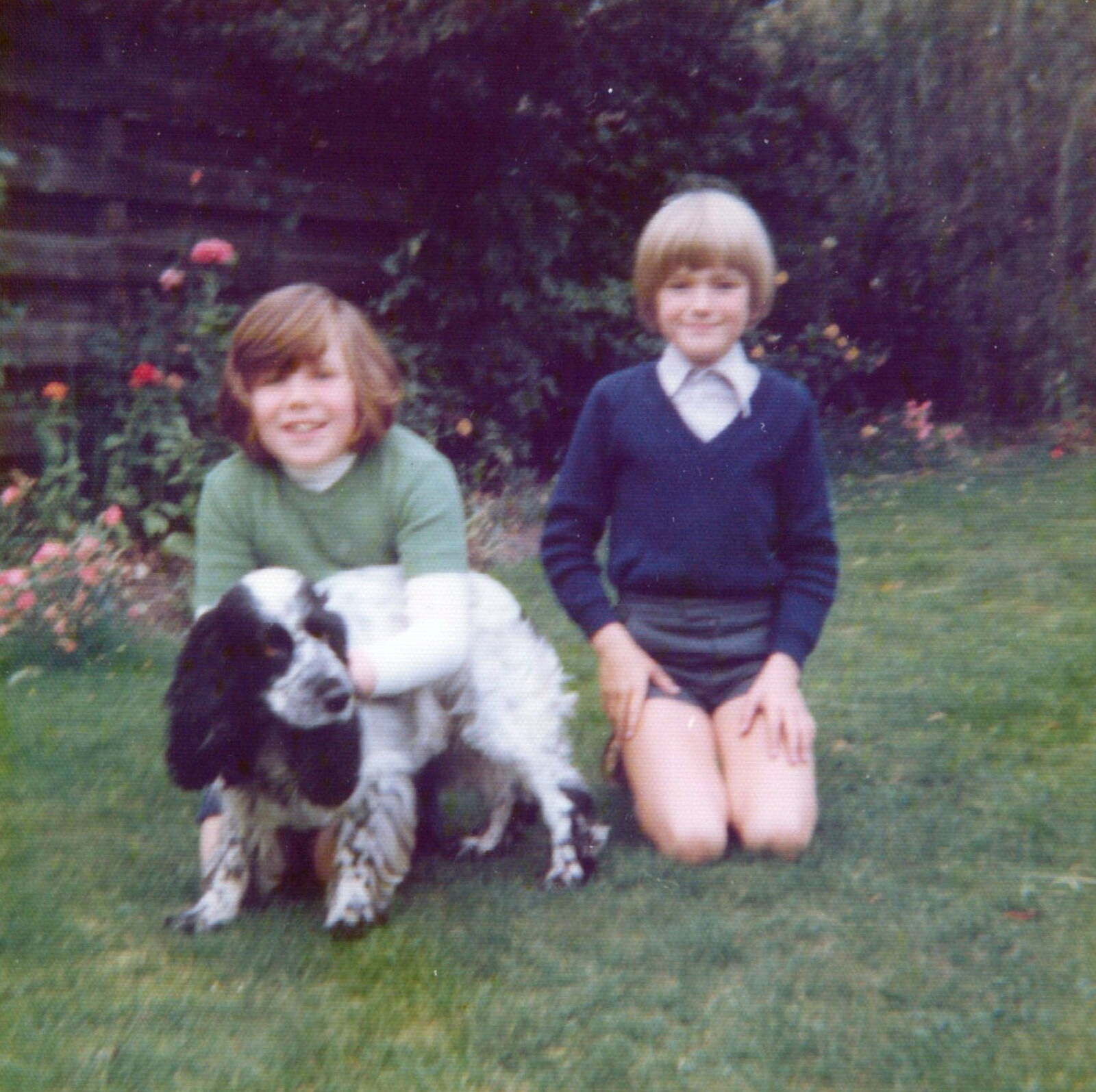 Family History: Birtle's Close, Sandbach, Cheshire - 24th January 2020: In the garden with Bob the spaniel