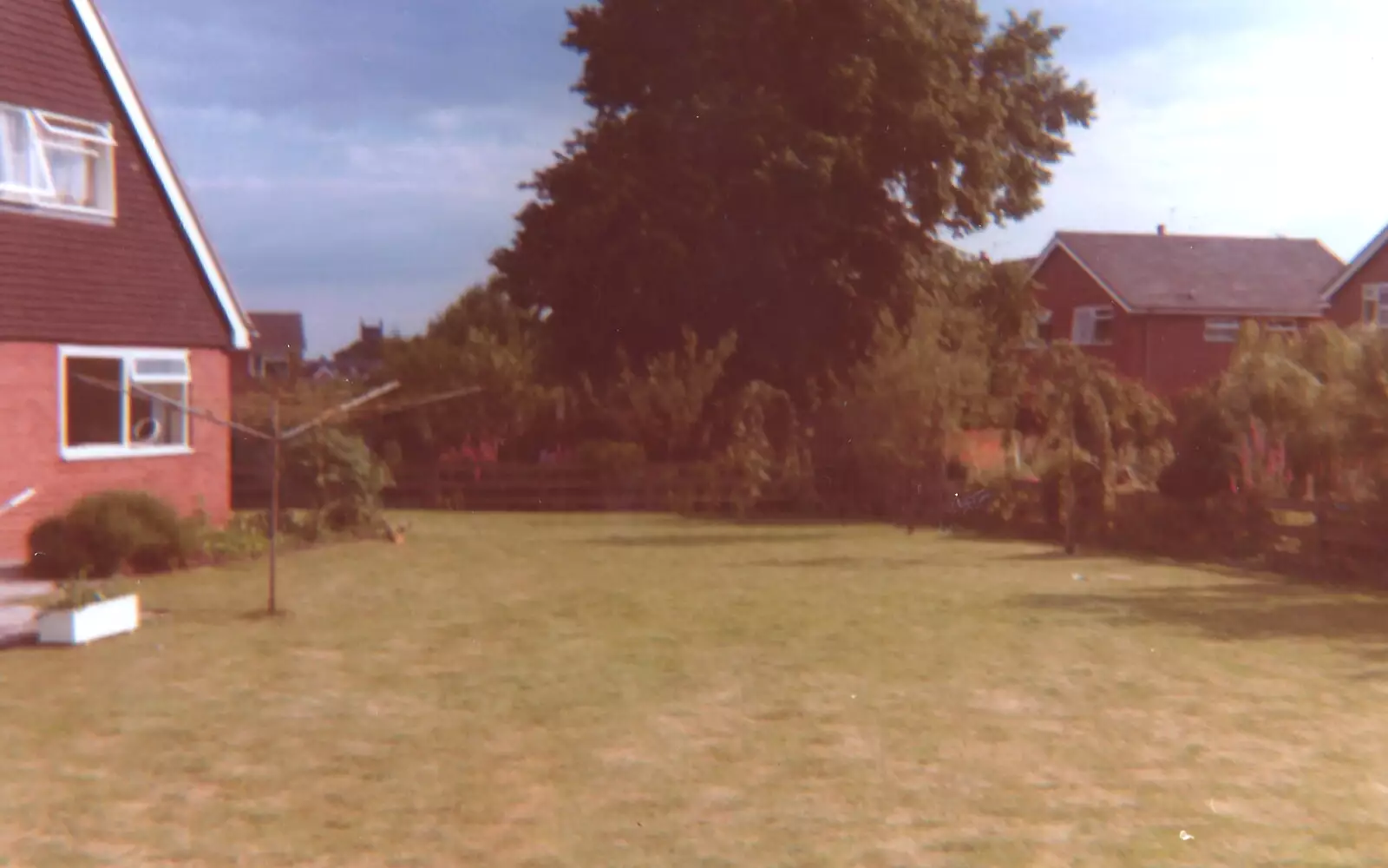 Another view of the back garden, from Family History: Birtle's Close, Sandbach, Cheshire - 24th January 2020