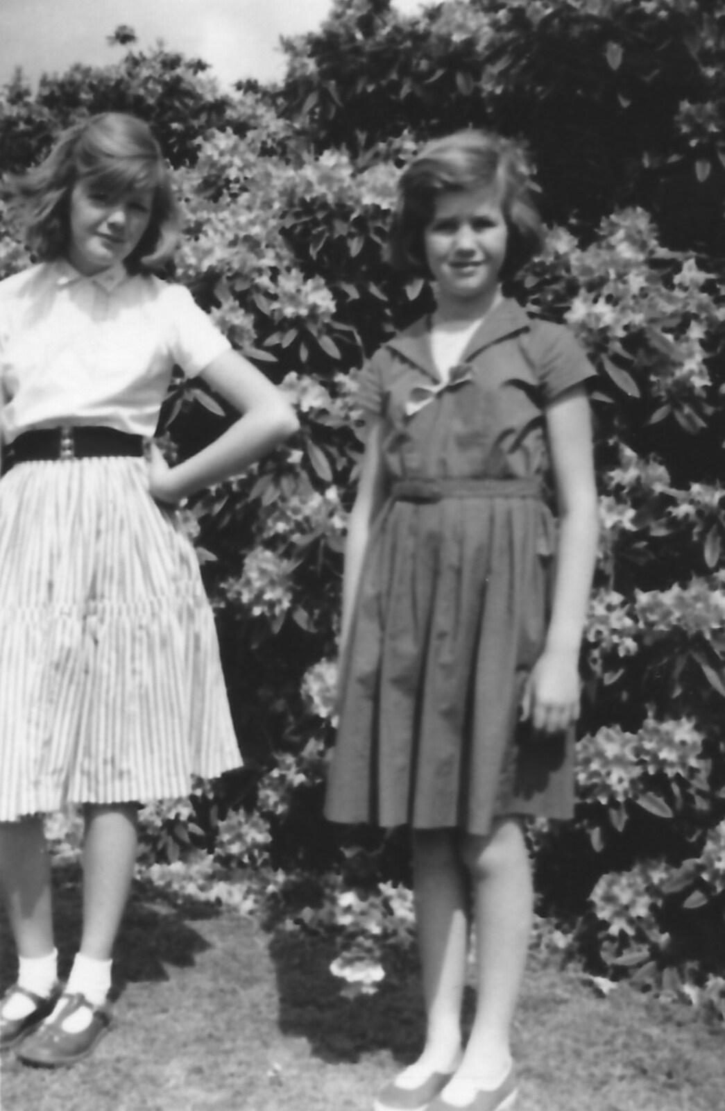 Family History: The 1940s and 1950s - 24th January 2020: Janet and Judith
