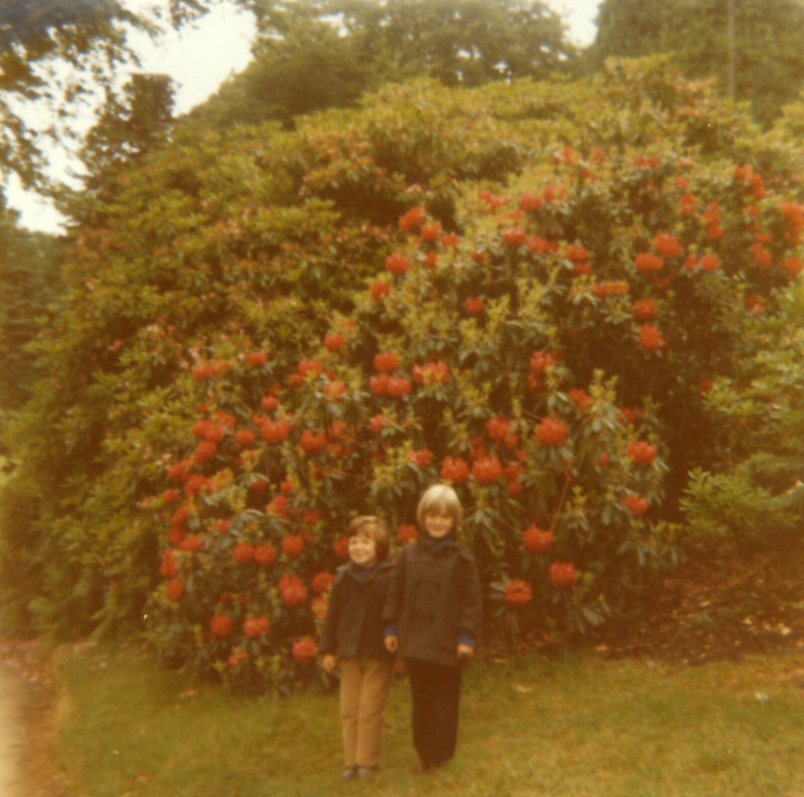 In front of some rhododendrons from Family History: The 1970s, Timperley and Sandbach, Cheshire - 24th January 2020