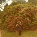 Family History: The 1970s, Timperley and Sandbach, Cheshire - 24th January 2020, In front of some rhododendrons