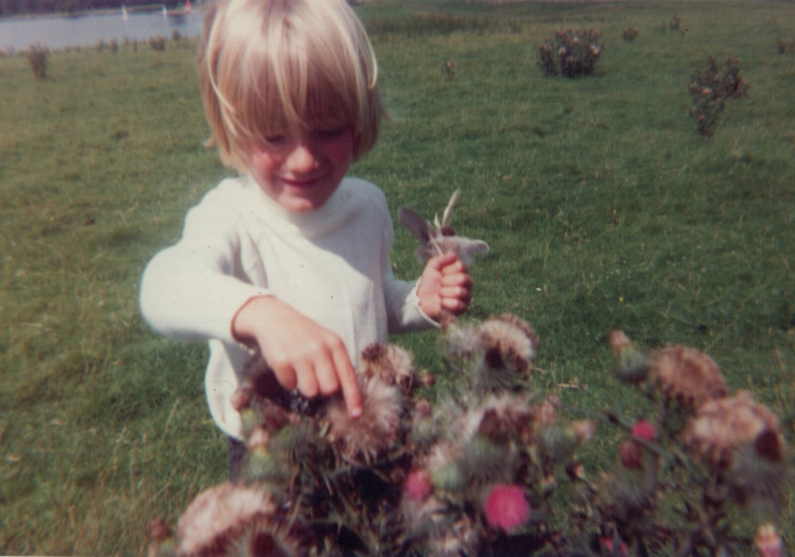 Nosher picks feathers out of thistles from Family History: The 1970s, Timperley and Sandbach, Cheshire - 24th January 2020