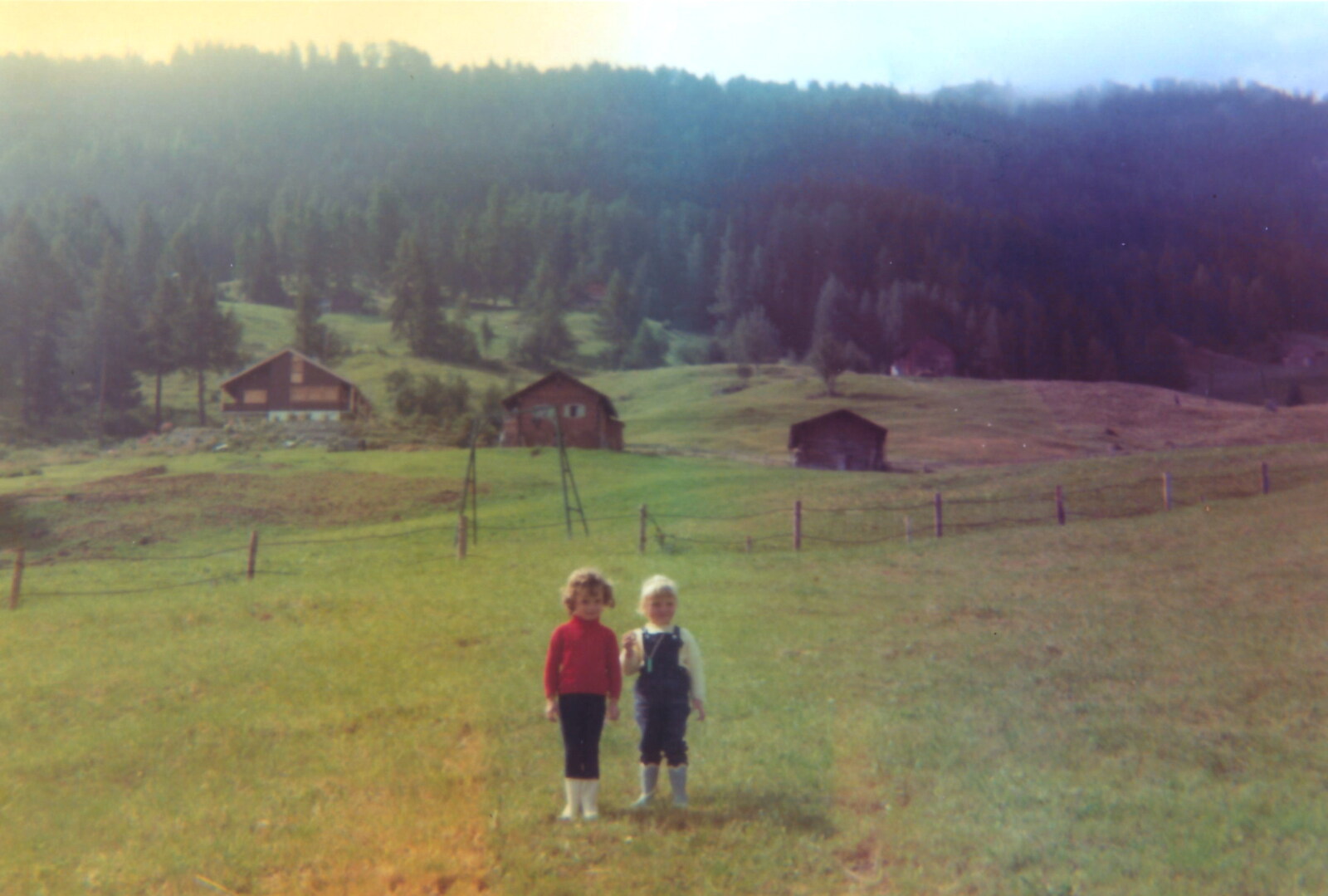 Family History: The 1960s - 24th January 2020: Children in a Swiss alpine meadow