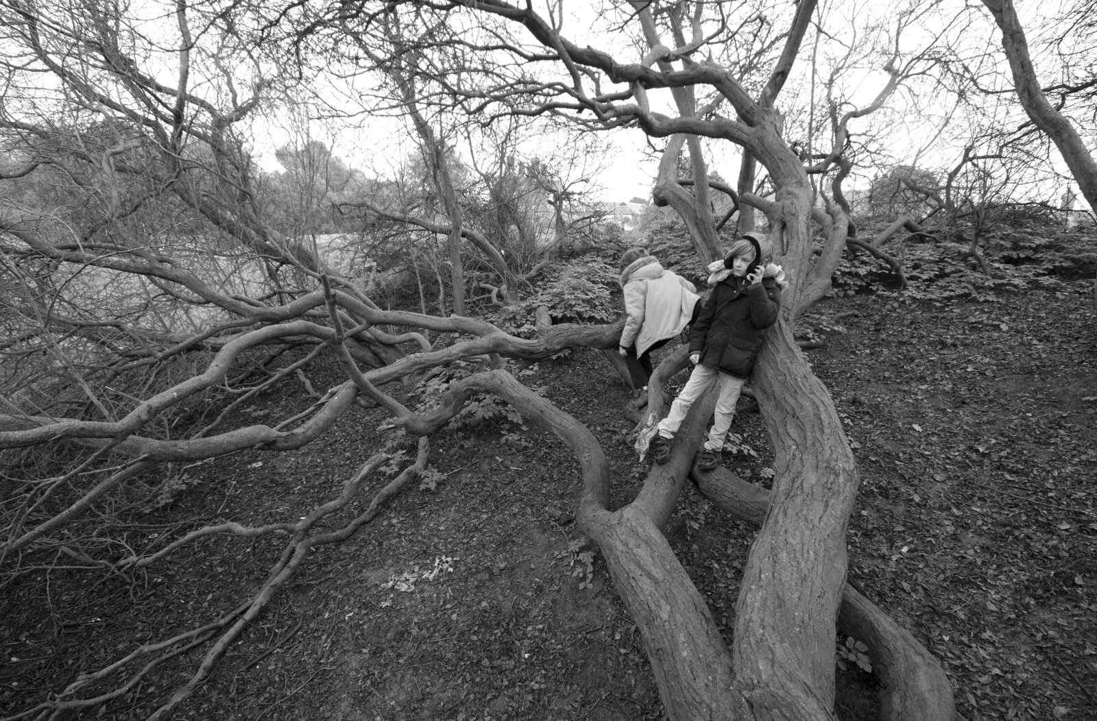 A Trip to Orford, Suffolk - 25th January 2020: Black and white trees