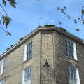 Pigeons on the roof, Snowdrops at Talconeston Hall, Tacolneston, Norfolk - 7th February 2020