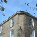 Pigeons on the roof, Snowdrops at Talconeston Hall, Tacolneston, Norfolk - 7th February 2020