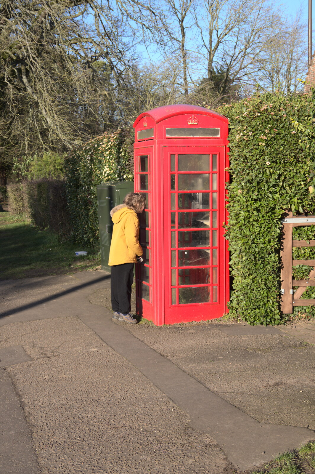 Fred looks at a K6 phone box from Snowdrops at Talconeston Hall, Tacolneston, Norfolk - 7th February 2020